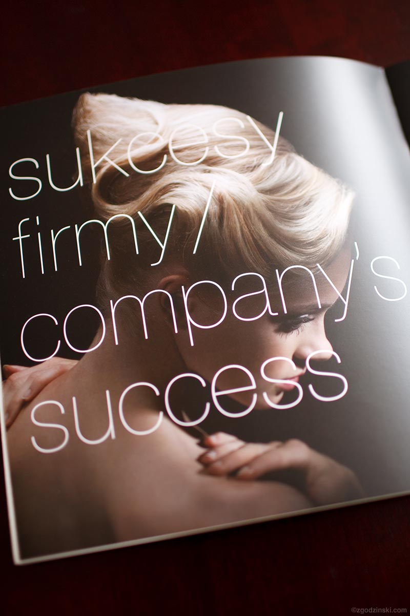 publications/30-company-success.jpg